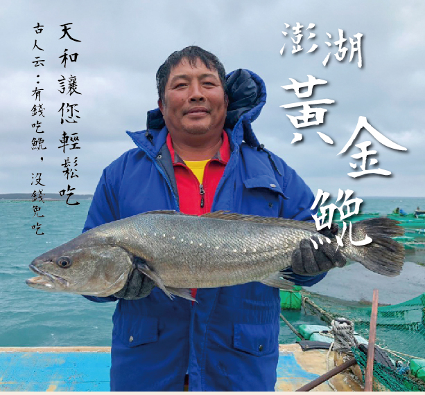 【天和鮮物X澎湖優鮮】極品海鮸魚全魚分切禮盒(3kg/半尾)(免運)