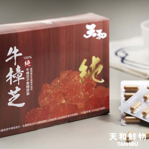 100%牛樟芝子實體膠囊60粒/盒