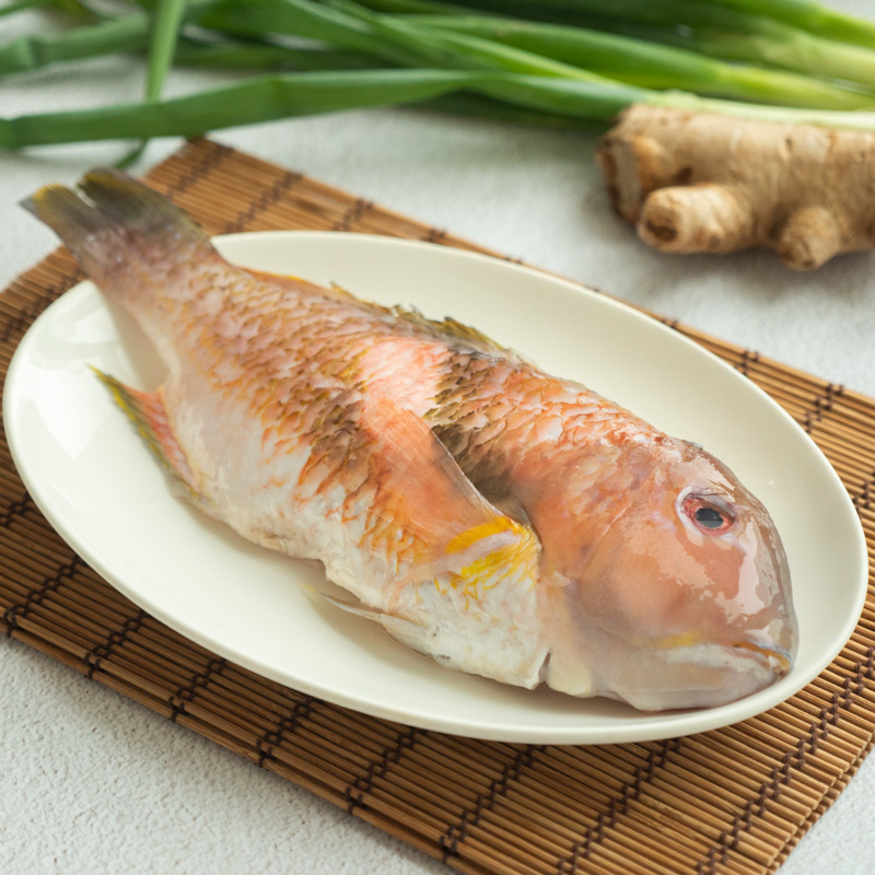 澎湖手釣寒鯛(紅鰱)420g