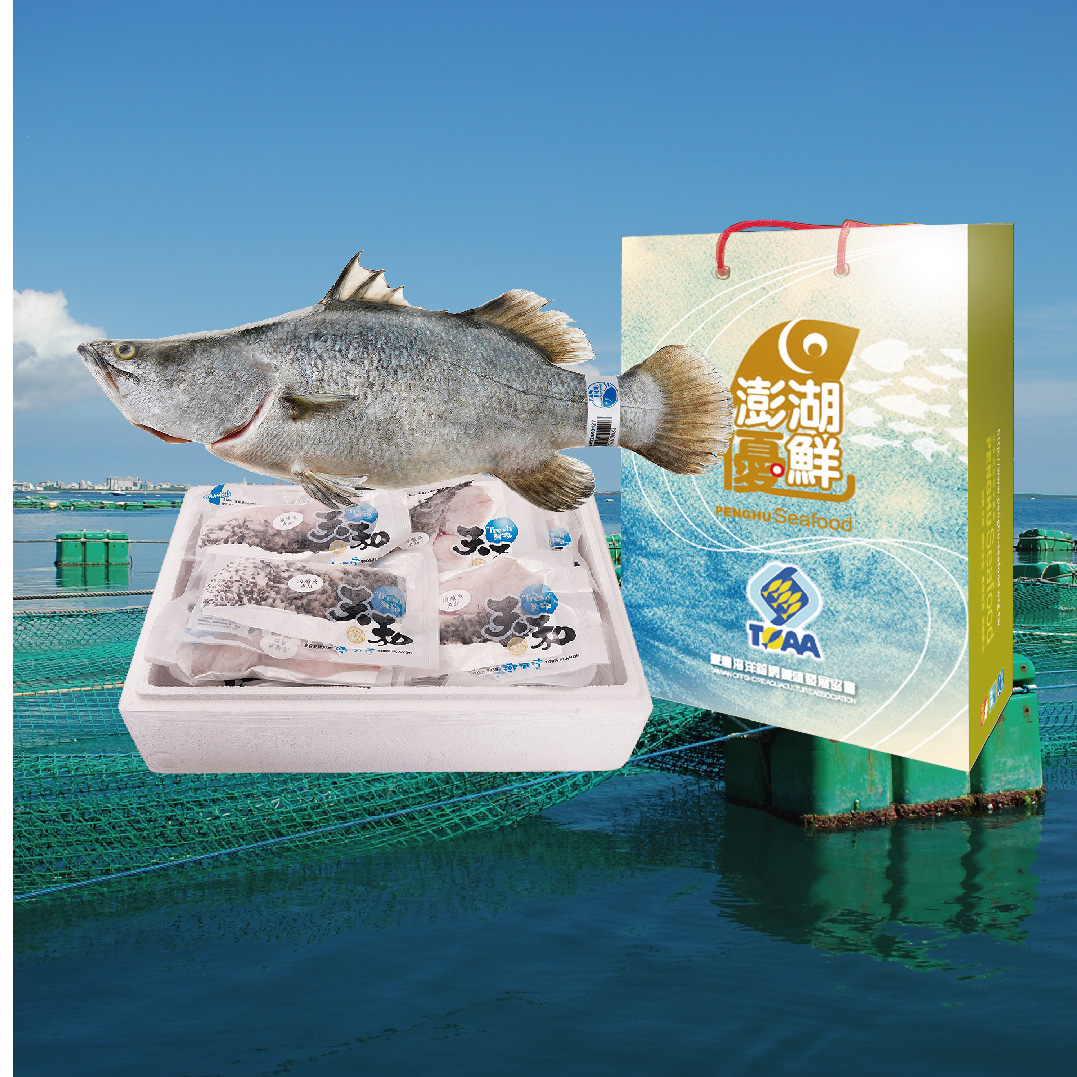 【天和鮮物X澎湖優鮮】海鱸魚全魚分切禮盒(3KG)