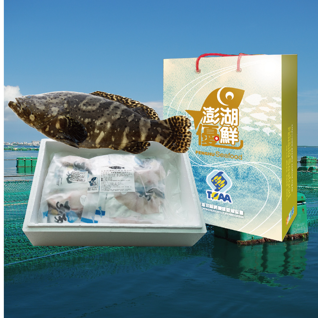 【天和鮮物X澎湖優鮮】龍虎斑全魚分切禮盒3kg/尾