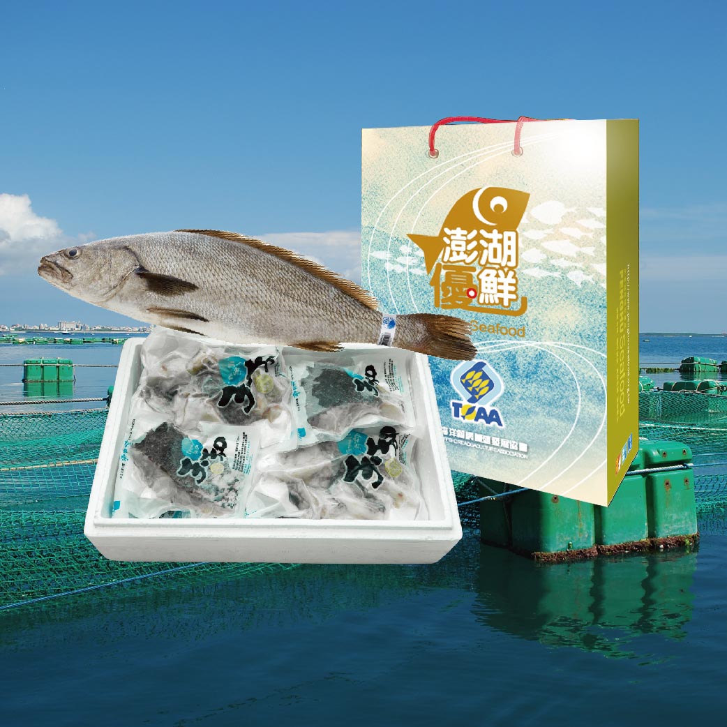 【天和鮮物X澎湖優鮮】極品海鮸魚全魚分切禮盒(3kg/半尾)(免運)