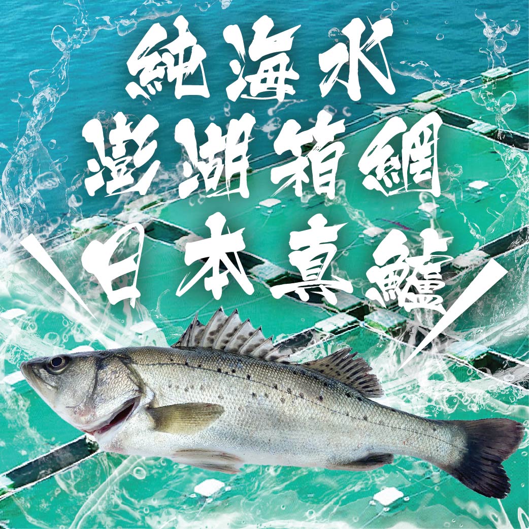 【天和鮮物X澎湖優鮮】日本真鱸全魚170g/尾
