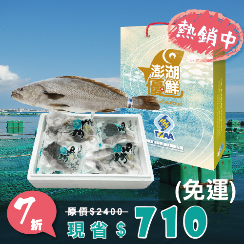 【天和鮮物X澎湖優鮮】極品海鮸魚全魚分切禮盒(3kg/半尾)(免運)