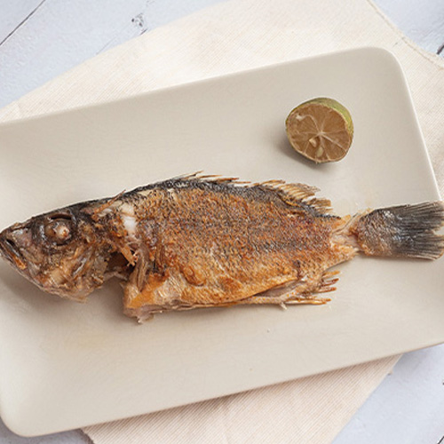 澎湖潮間帶養殖黑點笛鯛350g