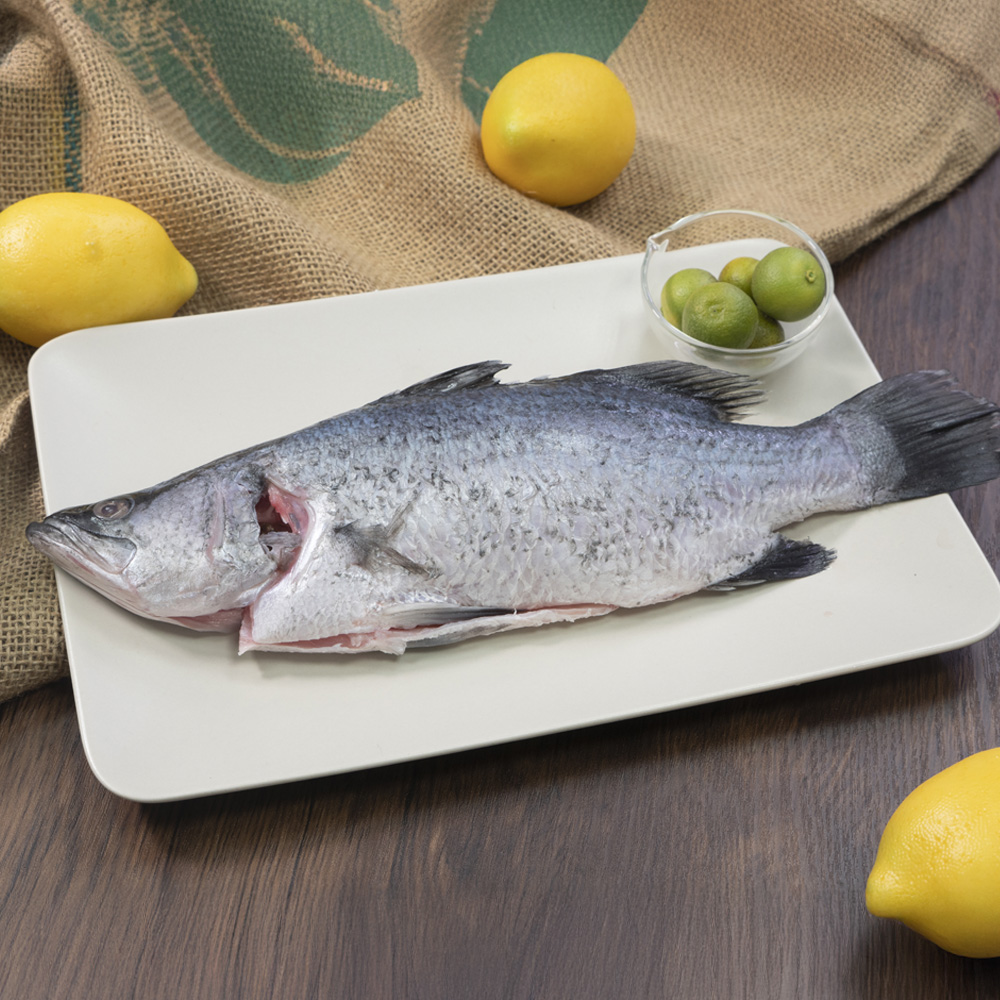 澎湖箱網海鱸魚400g