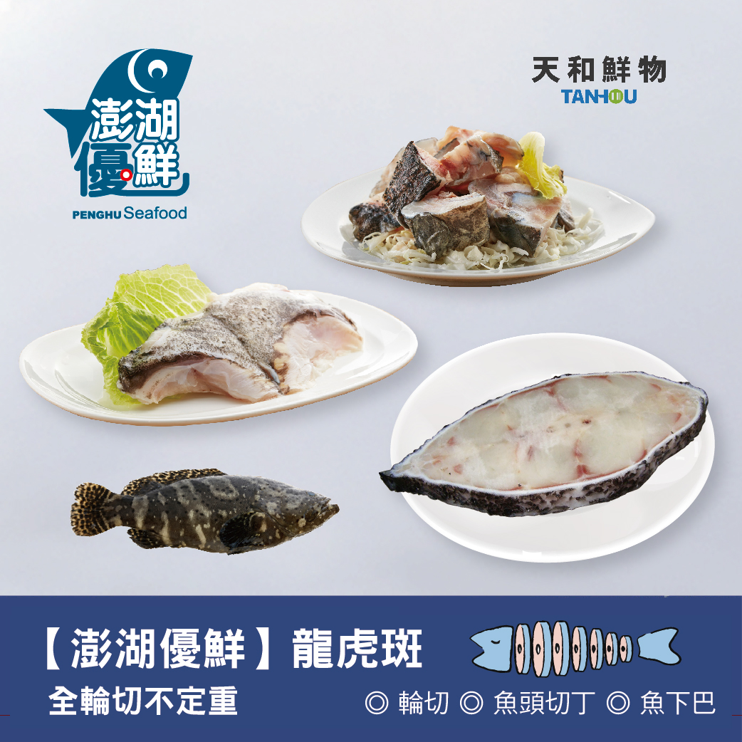 【天和鮮物X澎湖優鮮】龍虎斑全魚不定重(全輪切)(10.8公斤/尾)(免運)