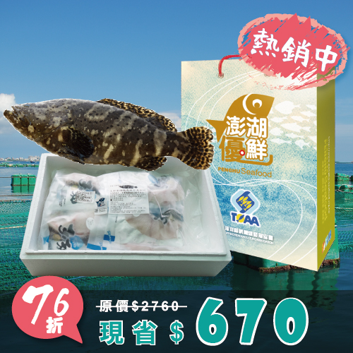 【天和鮮物X澎湖優鮮】龍虎斑全魚分切禮盒3kg/尾