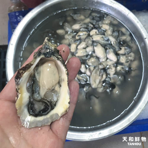 【天和鮮物X澎湖優鮮】澎湖原汁牡蠣肉250g